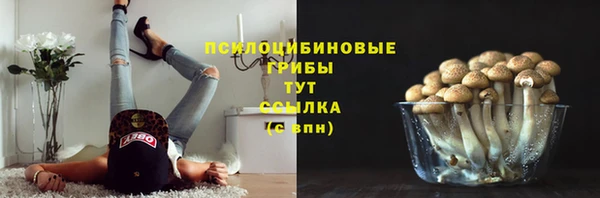 крисы Волосово