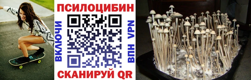 Галлюциногенные грибы Cubensis  Камышлов 